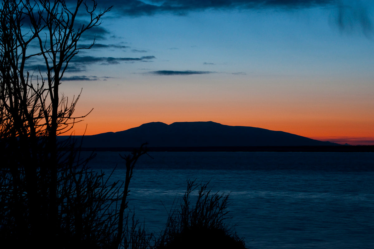 Susitna Spring