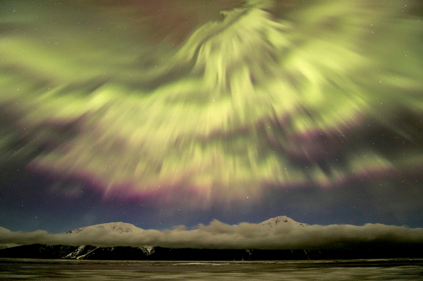 Tidal Lights