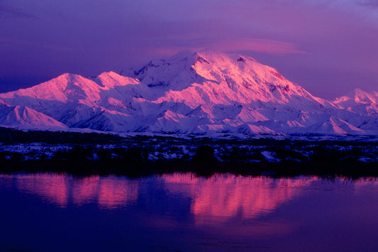 Alpenglow illuminating Denali pink and gold in Alaska landscape