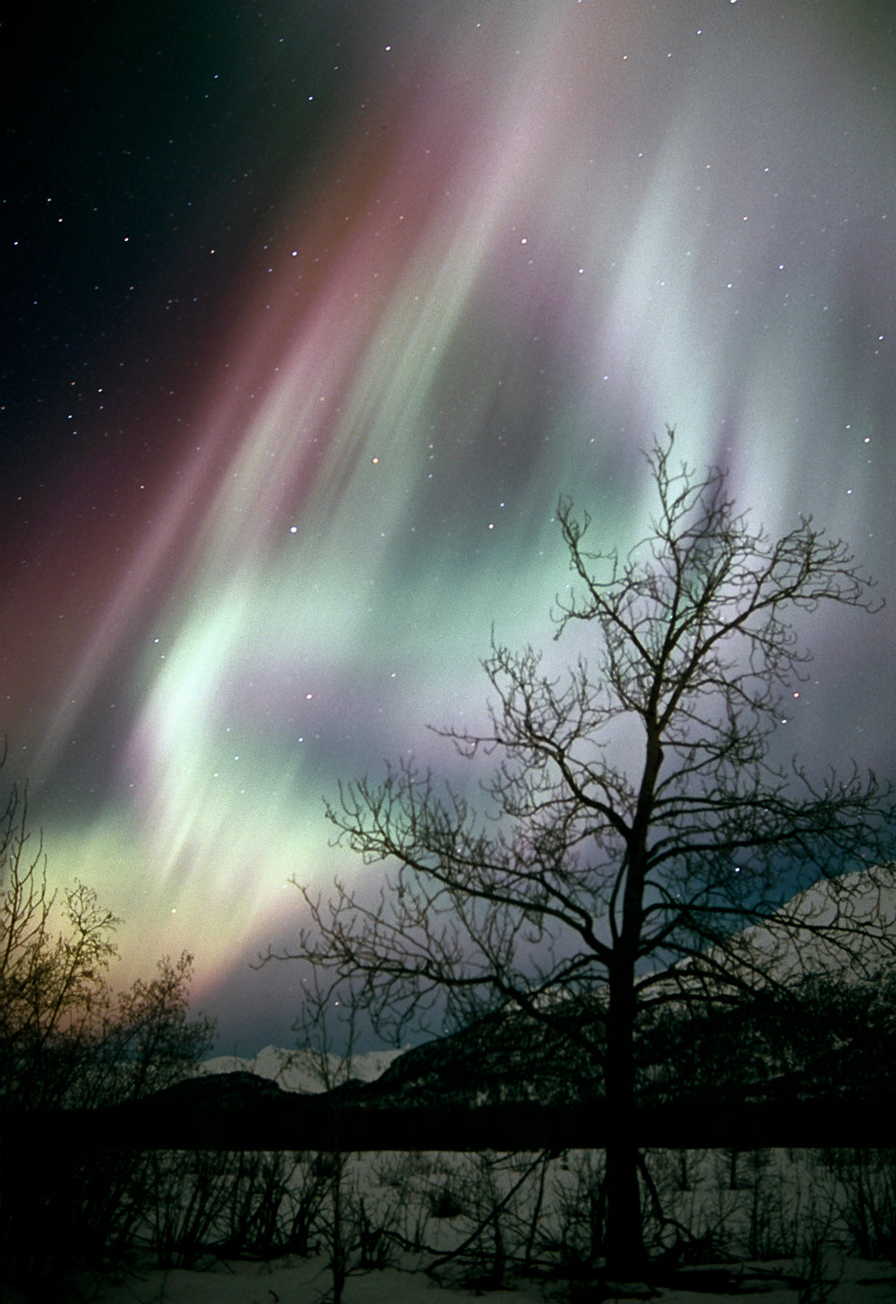 Tall portrait aurora borealis with swirling curtains of light over Alaska