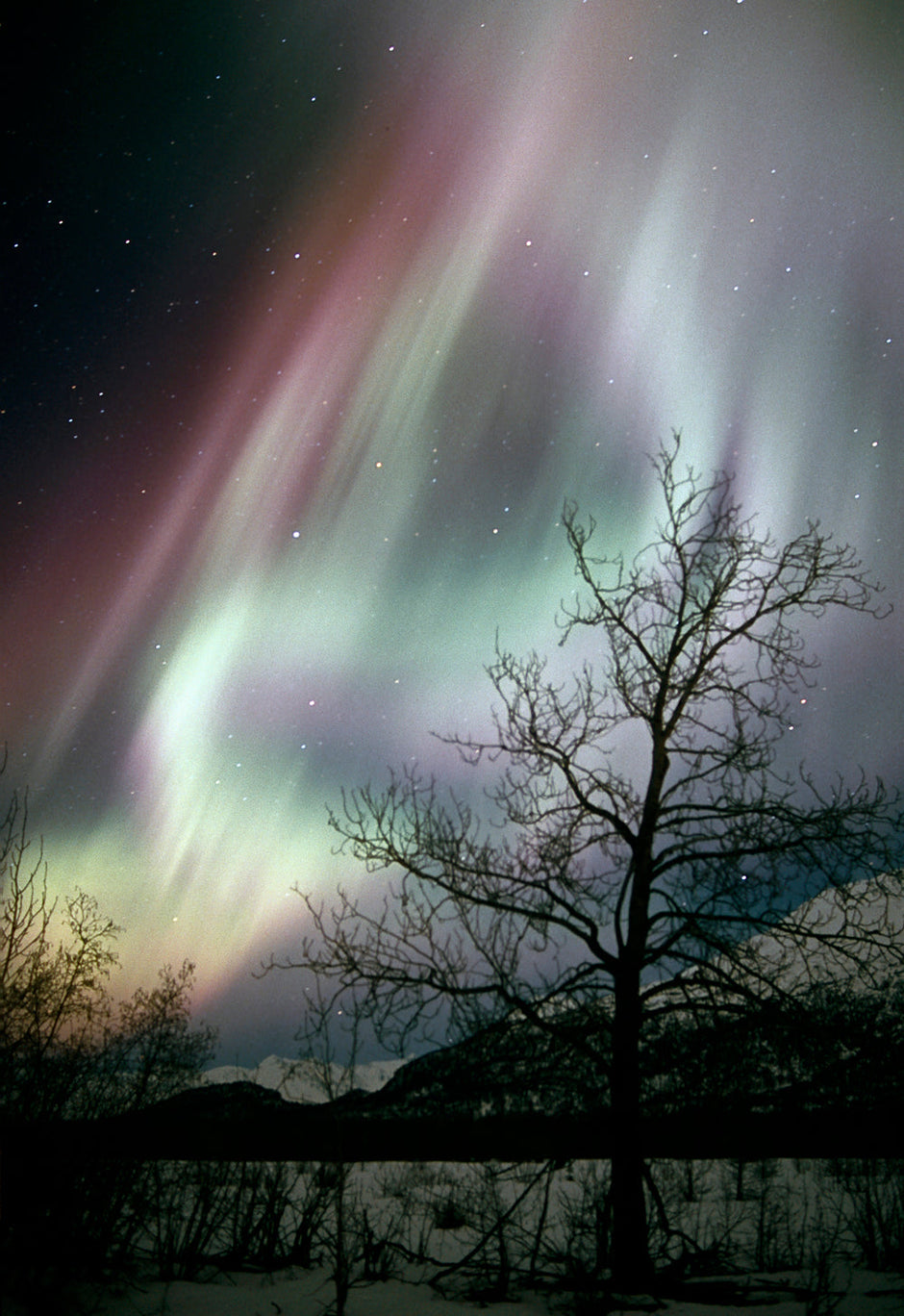 Tall portrait aurora borealis with swirling curtains of light over Alaska