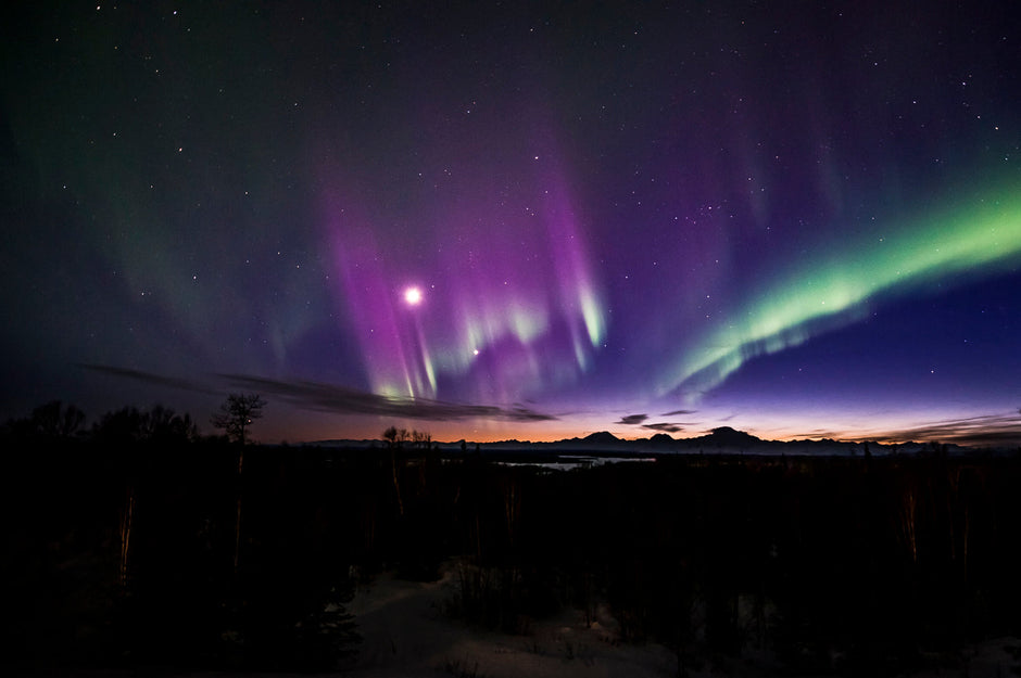Brilliant aurora borealis elite display over Denali, Alaska landscape