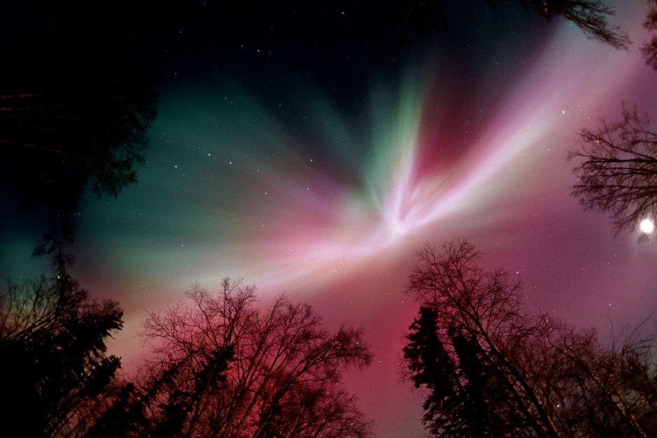 Full spectrum aurora borealis coloring the Alaska winter landscape