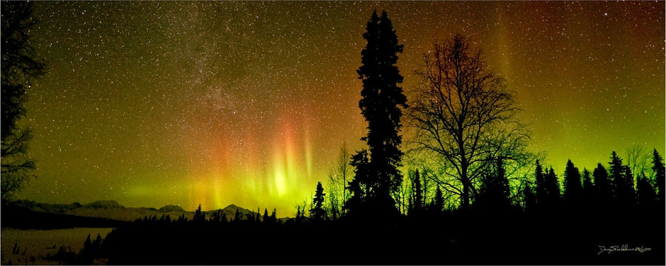 Panoramic sacred darkness over Denali with aurora borealis glowing