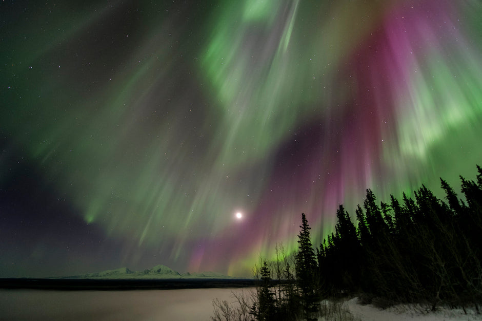Aurora borealis encircling the night sky above Alaska portrait view