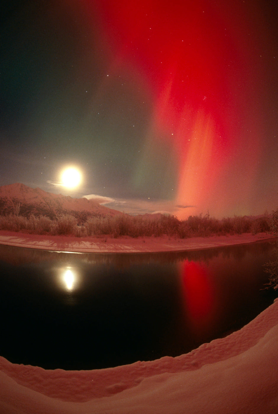 Fiery red and gold aurora borealis falling across Alaska portrait