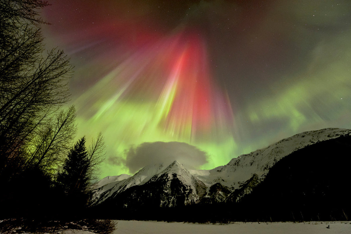 The Aurora Collection