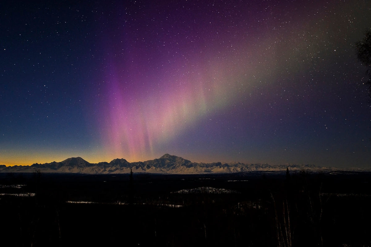 Aurora borealis gifts of light over Denali Alaska landscape I
