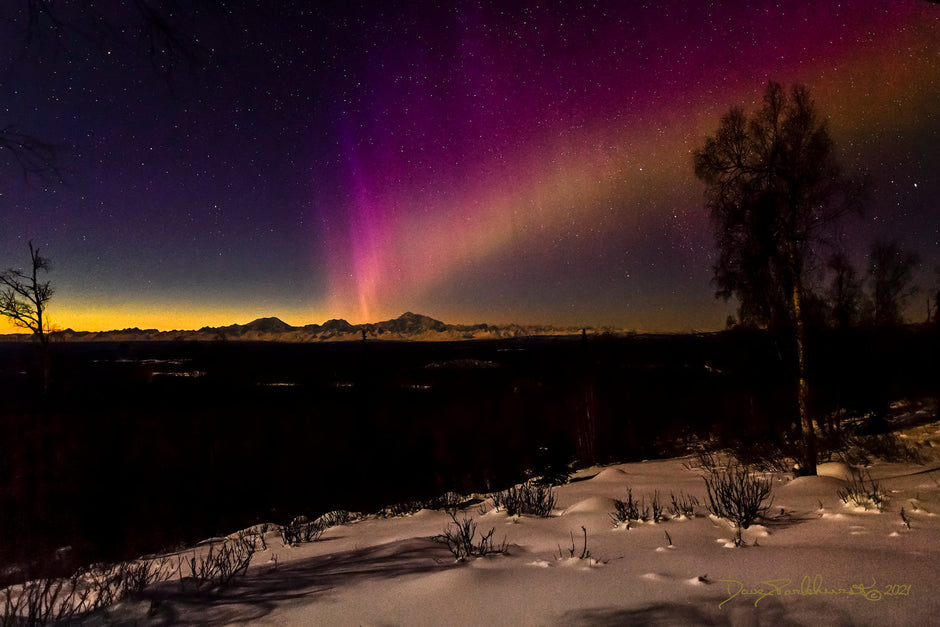 Aurora borealis gifts of light over Denali Alaska landscape II