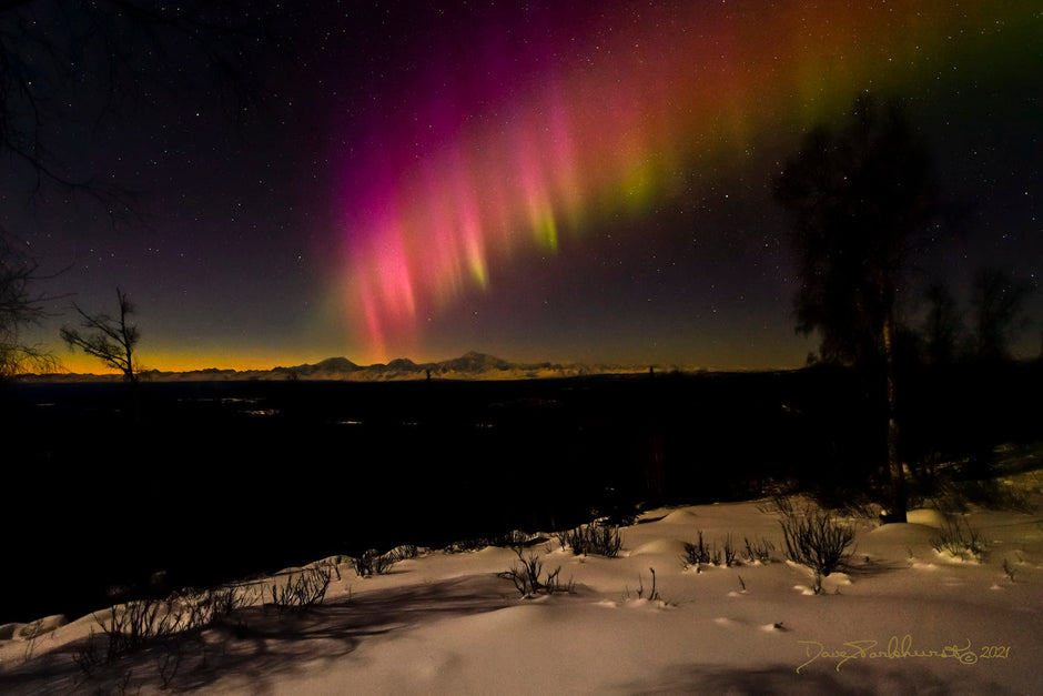 Aurora borealis gifts of light over Denali Alaska landscape III