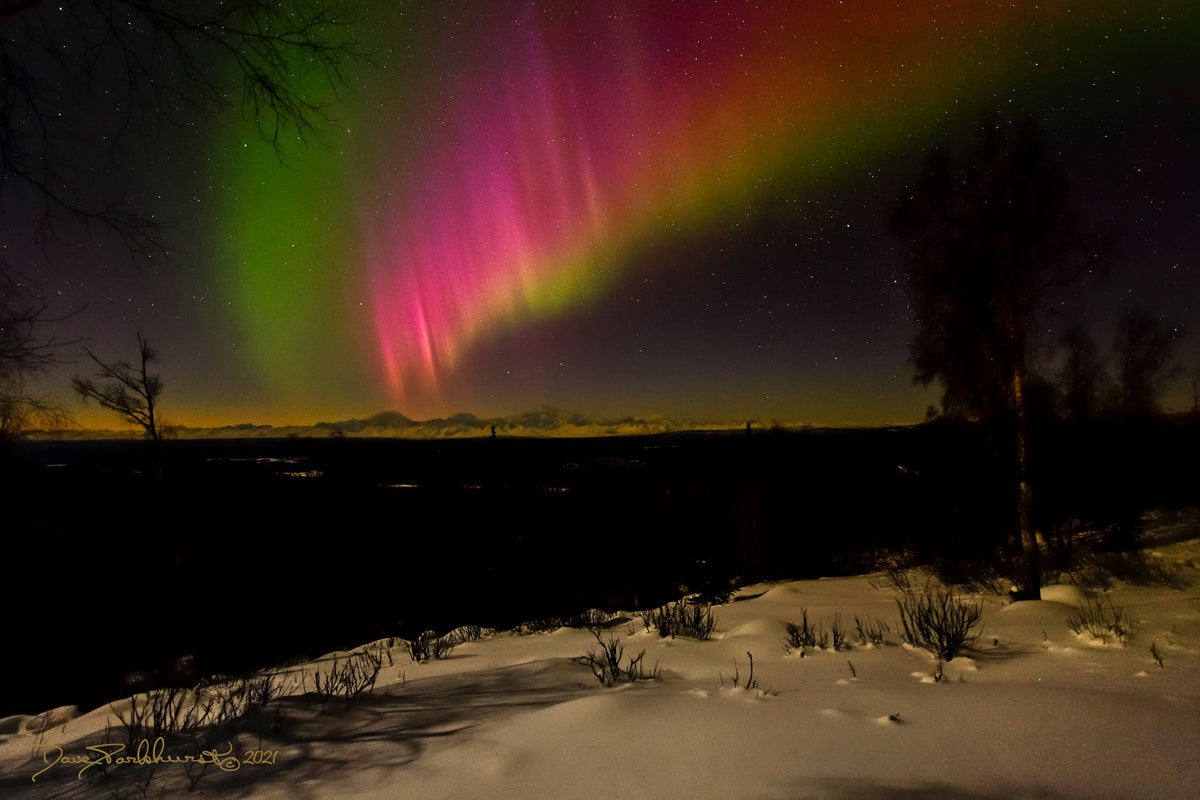 Aurora borealis gifts of light over Denali Alaska landscape IV