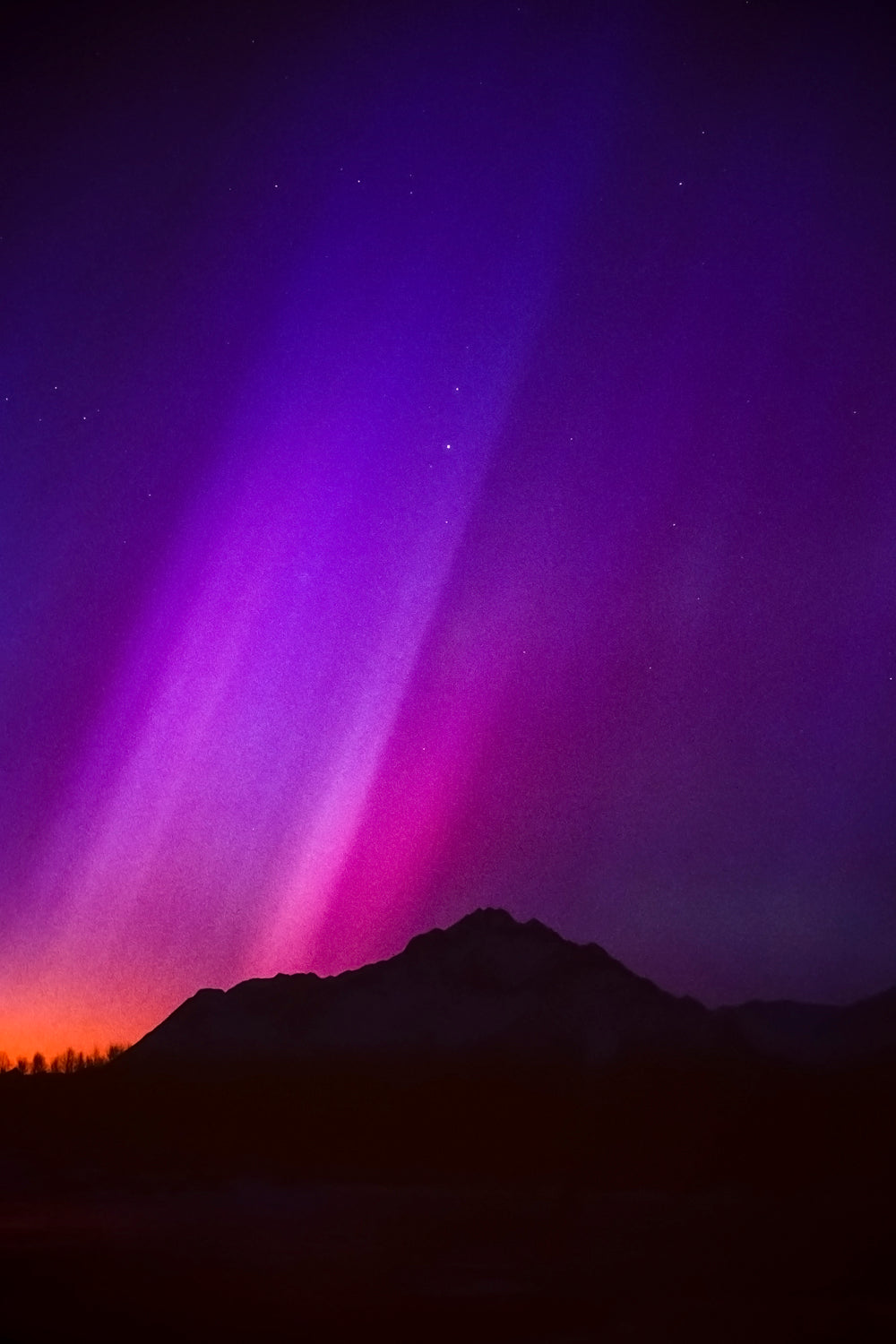 Great pink aurora tower rising over Alaska portrait fine art II