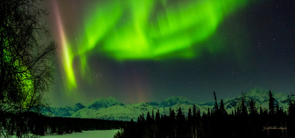 Panoramic aurora borealis uniting heaven and earth over Denali Alaska