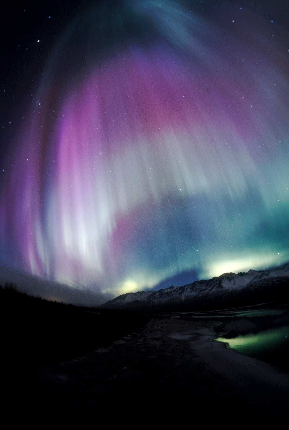 Lavender purple aurora borealis cascading over Alaska portrait