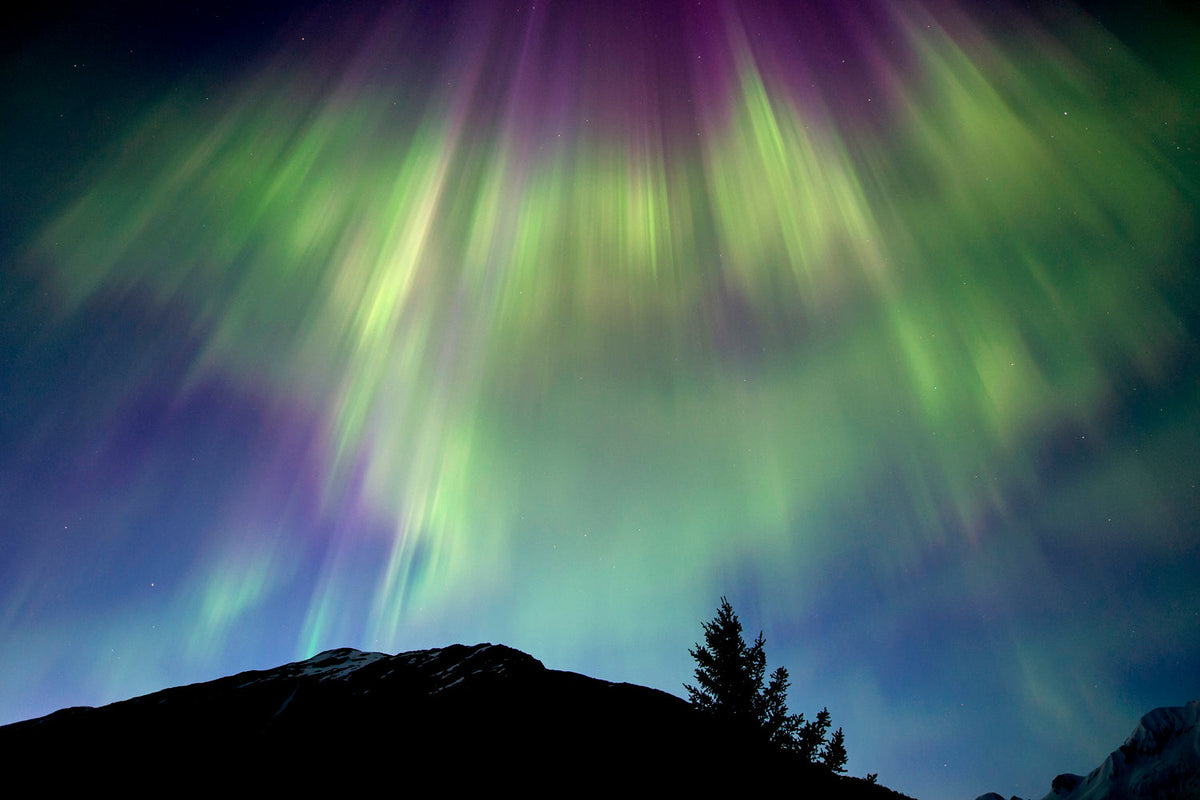 Delicate lacy aurora borealis across Alaska midnight landscape