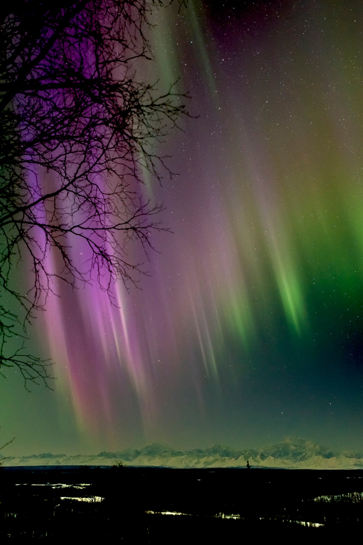 Stellar Winds