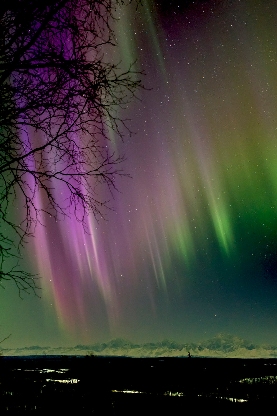 Stellar Winds