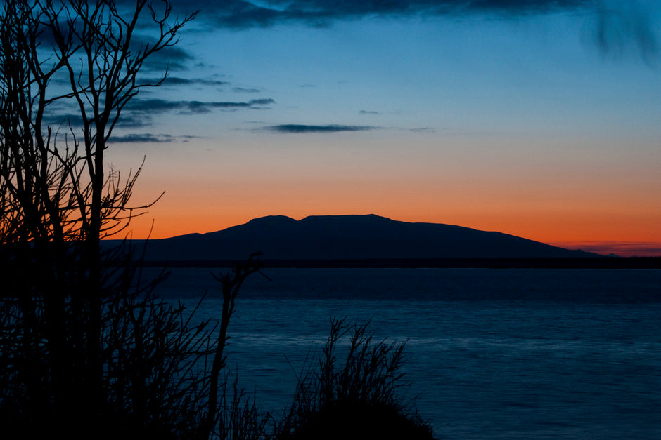 Susitna Spring